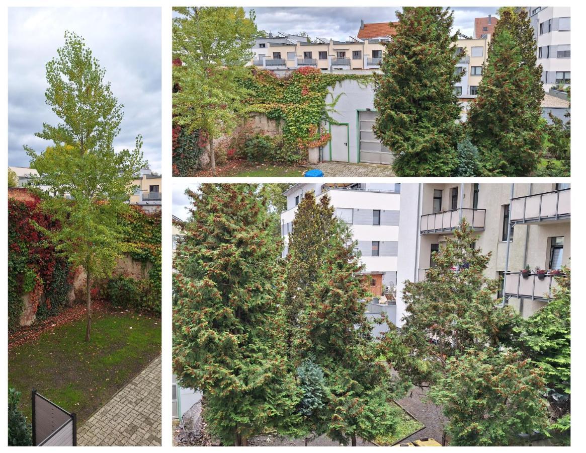 Modernes Einraumzimmer Mit Eigenem Bad, Balkonnutzung, Zentrumsnah - In 10 Minuten Mit Dem Rad Oder Dem Oepnv Zur Arena Und In Leipzigs Innenstadt Buitenkant foto